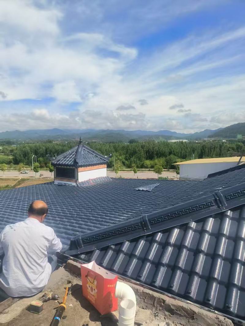 合成樹(shù)脂瓦案例